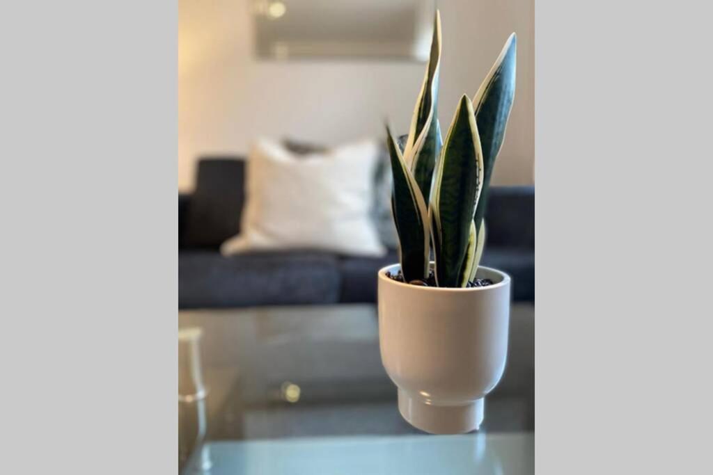 Alicia Newport By Mia Living 2 Bedroom Apartment With Dedicated Parking Eksteriør bilde